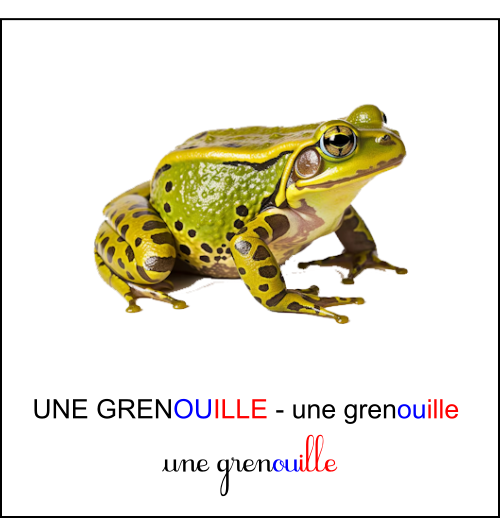 Graphie ouille